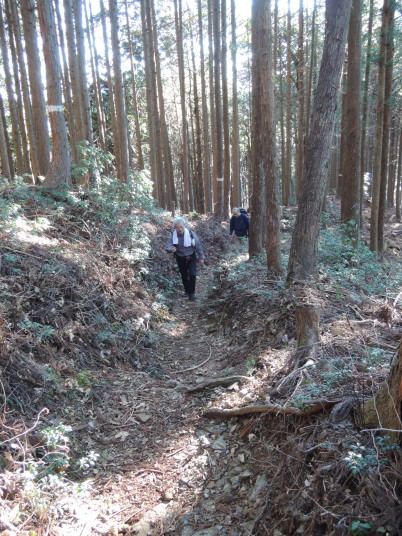 川苔山