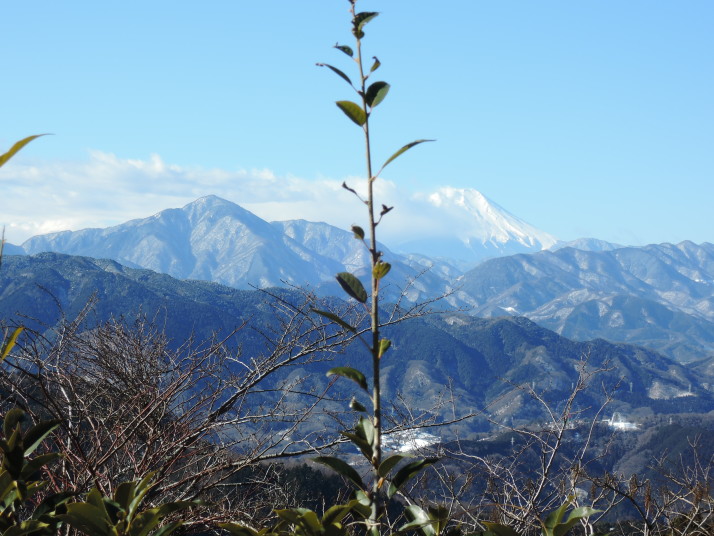 高尾山