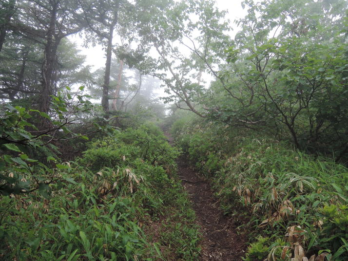 高峰山