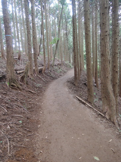 陣馬山縦走