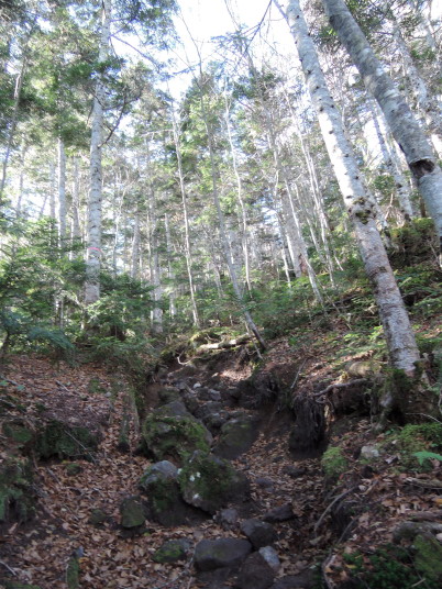 日光白根山