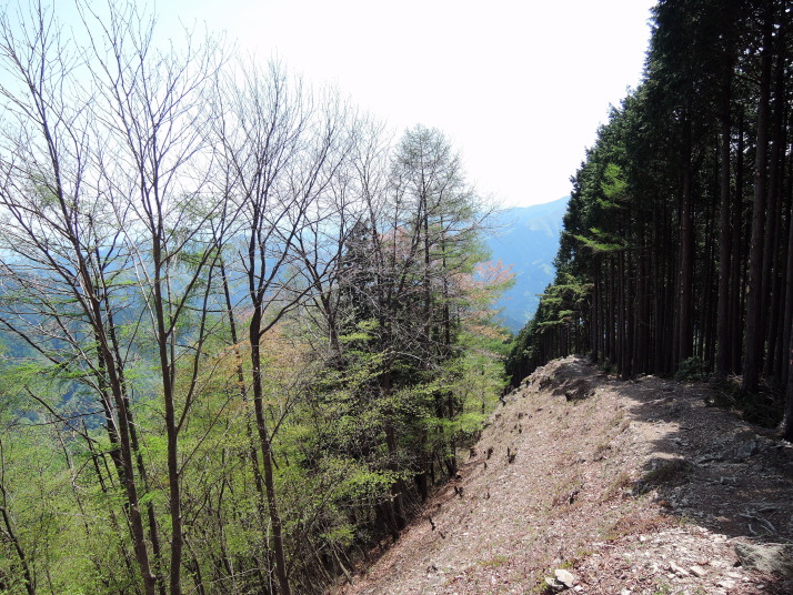 大仁田山