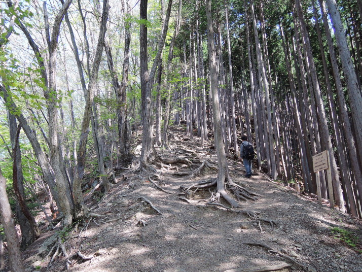 大仁田山