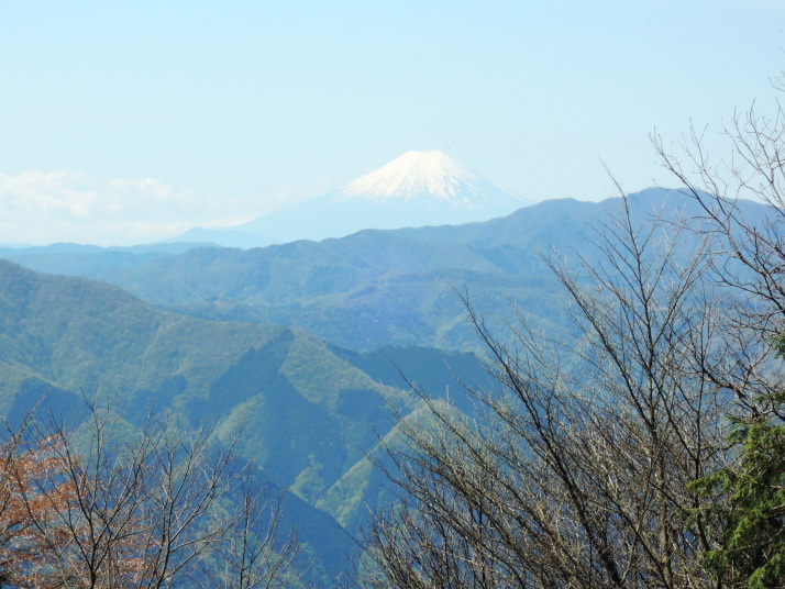 大仁田山