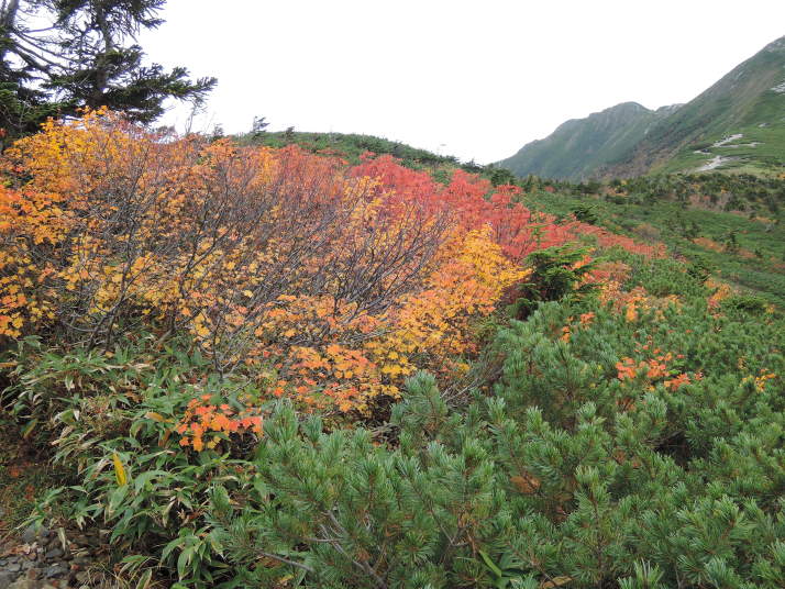 鹿島槍ヶ岳