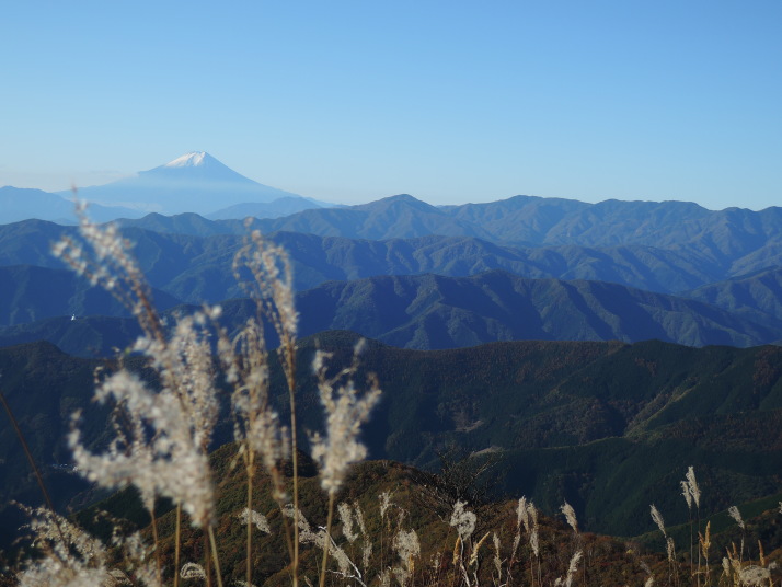 鷹ノ巣山