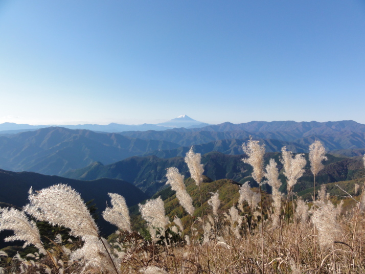 鷹ノ巣山