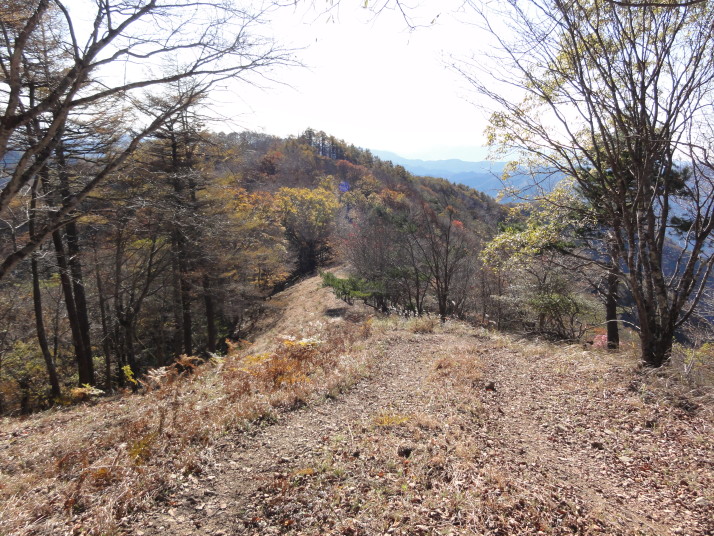 鷹ノ巣山