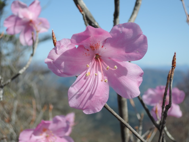 烏帽子岳