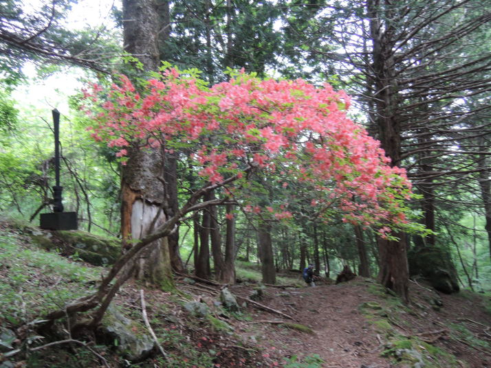 皇海山