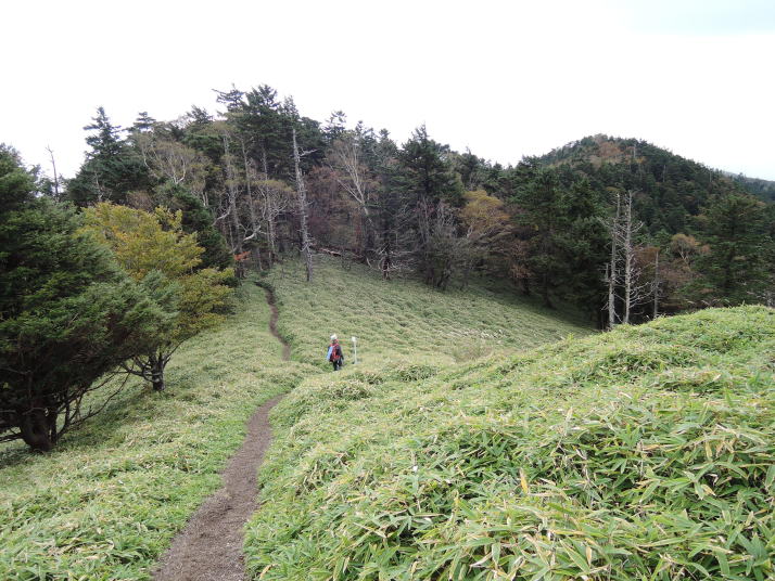 小金山