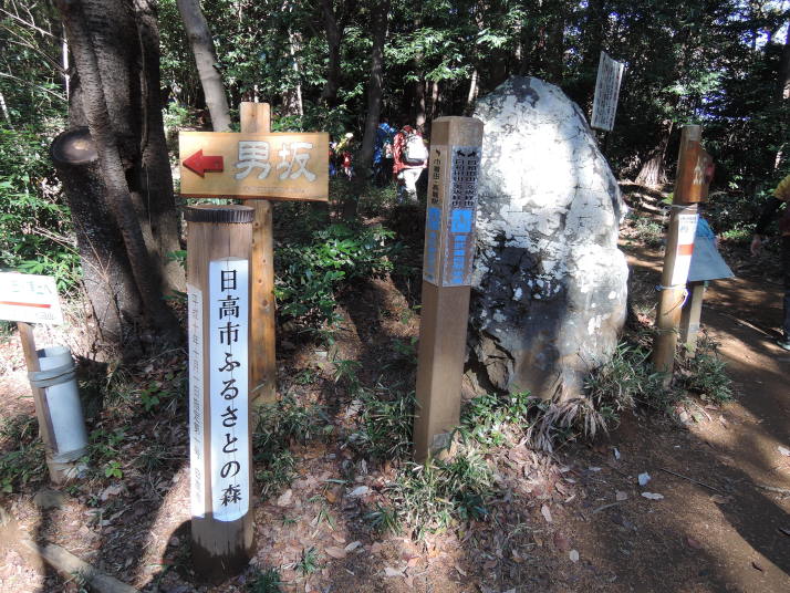 日和田山