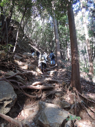 日和田山