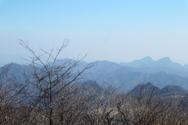 物見山