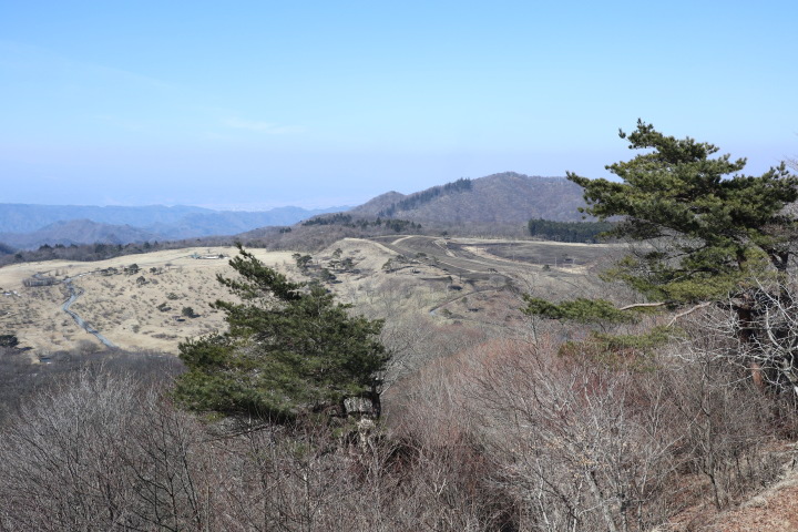 物見山