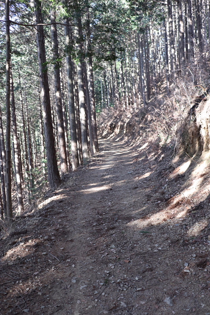 日の出山