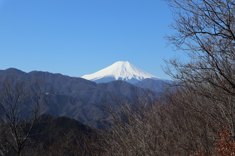 倉岳山