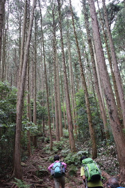 大高取山