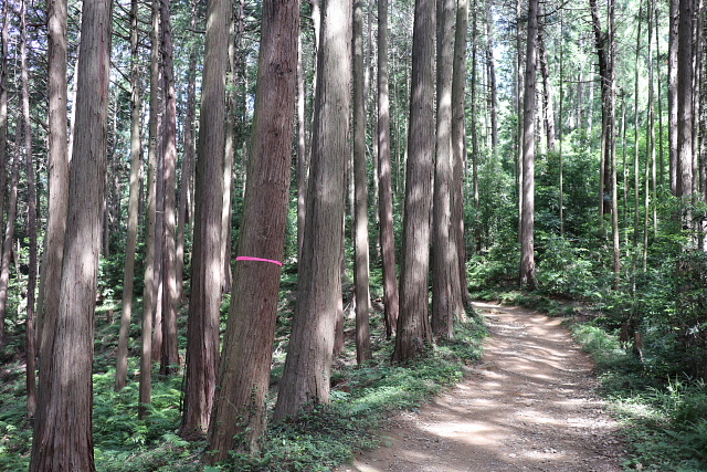 日和田山