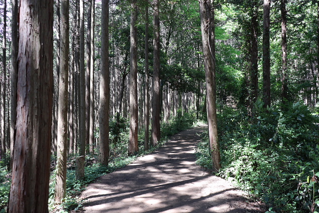 日和田山