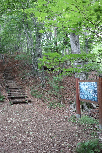 三頭山