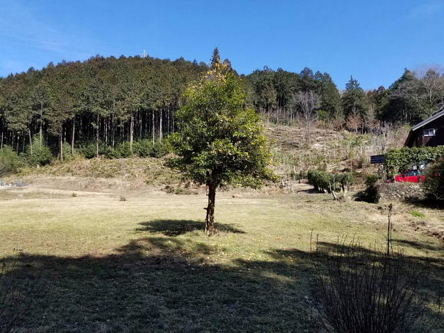 日和田山