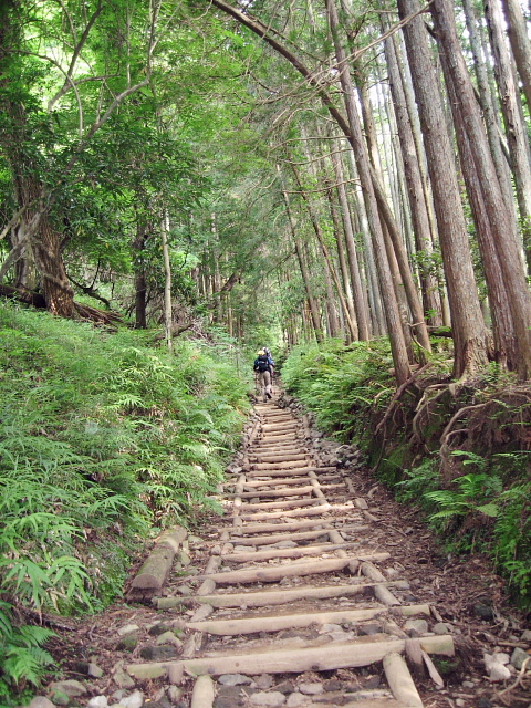 塔ノ岳