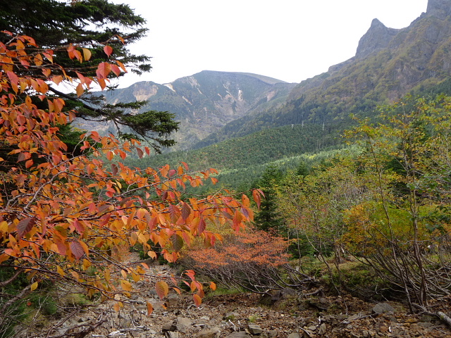 八ヶ岳