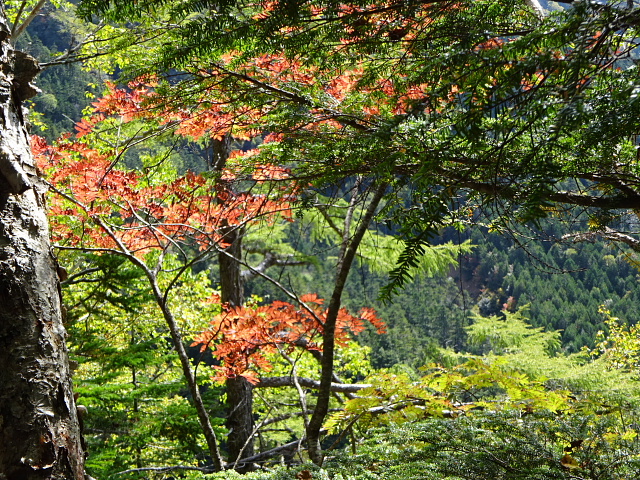 八ヶ岳