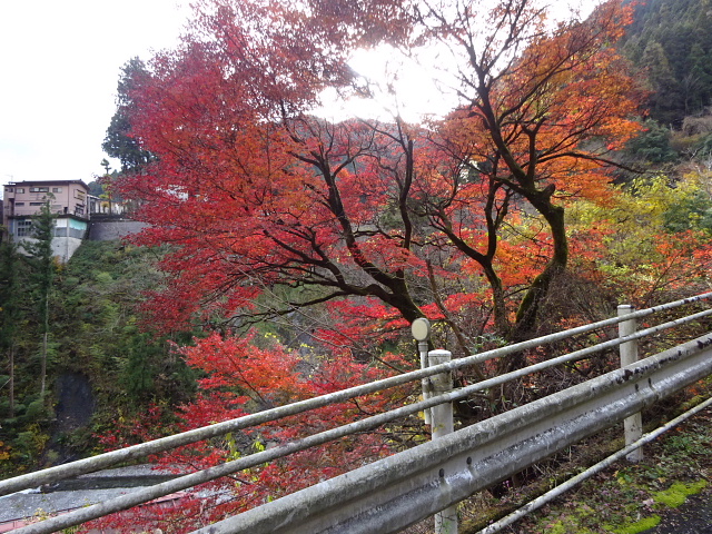 本仁田山