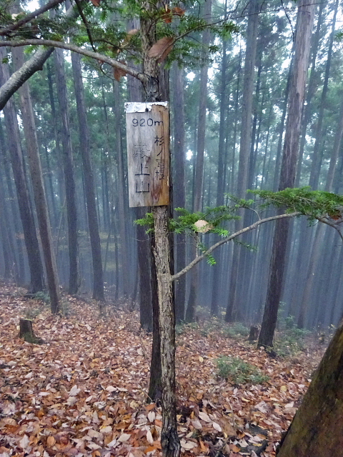 本仁田山