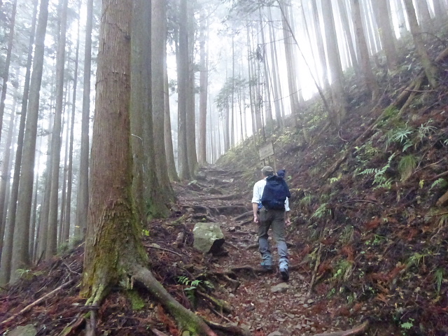 本仁田山