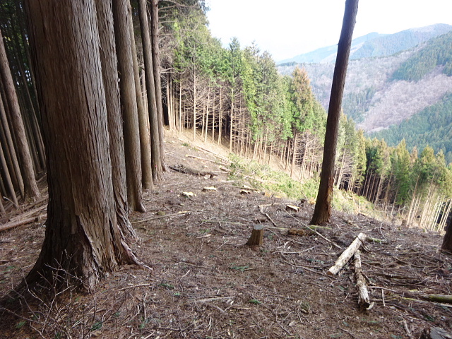 日ノ出山