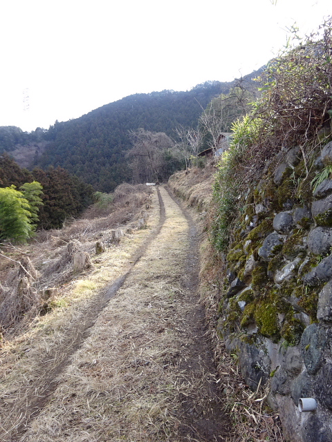 日ノ出山