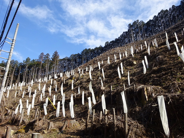 日ノ出山