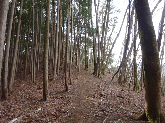 日ノ出山