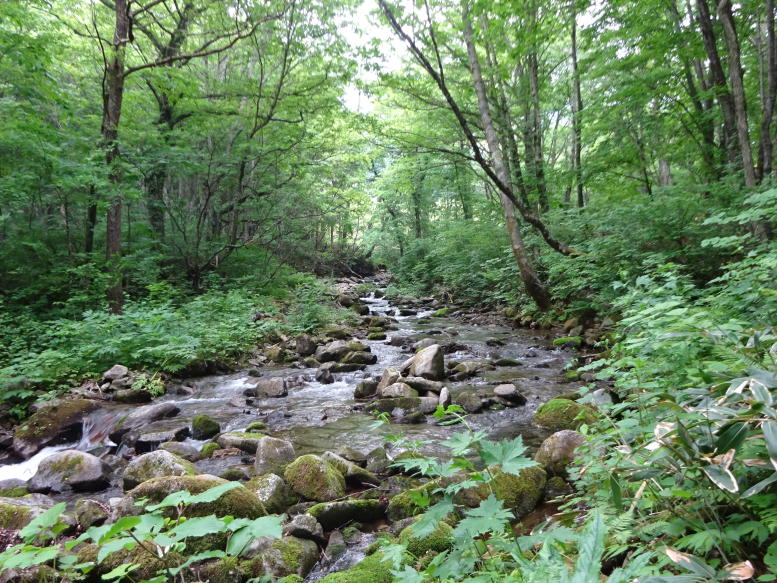 平標山