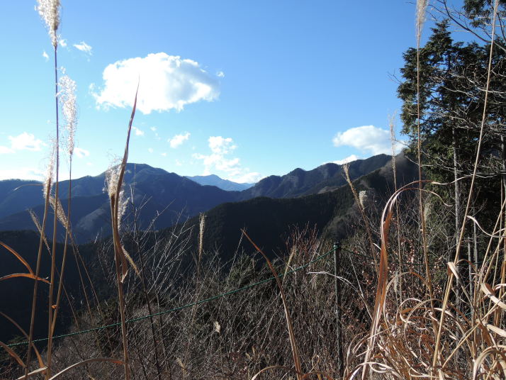 川苔山
